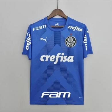 Camiseta all sponsor Palmeiras Goalkeeper Blue 22/23 Camiseta all sponsor Palmeiras Goalkeeper Blue 22/23