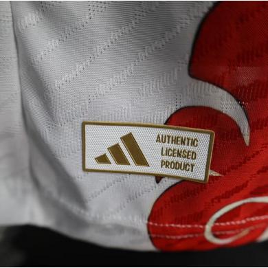 Camiseta Japón Edición Especial 25/26