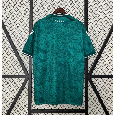 Camiseta Santiago Wanderers 1ª Equipación 24/25 Camiseta Santiago Wanderers 1ª Equipación 24/25