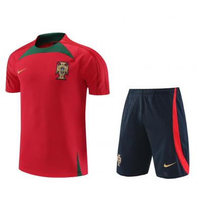 Camiseta Fc Portugal Pre-Match 23/24 + Pantalones Camiseta Fc Portugal Pre-Match 23/24 + Pantalones