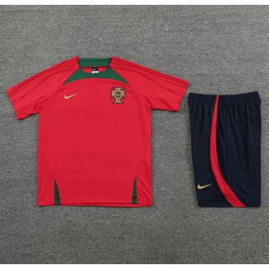 Camiseta Fc Portugal Pre-Match 23/24 + Pantalones Camiseta Fc Portugal Pre-Match 23/24 + Pantalones