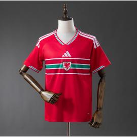 Camiseta GALES Primera Equipación 2026