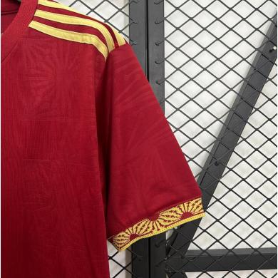 Camiseta Alemania Special Edition 2025